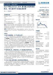 2021年报&2022Q1点评：盈利能力或阶段性承压，坚定看好中长期发展前景