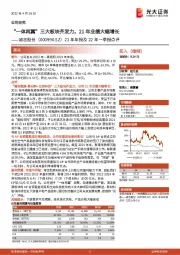 21年年报及22年一季报点评:“一体两翼”三大板块齐发力,21年业绩大幅增长