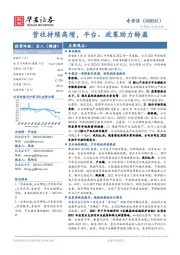 营收持续高增，平台、政策助力转盈