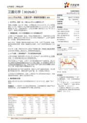 C3C2齐头并进,卫星化学一季度利润增长98%