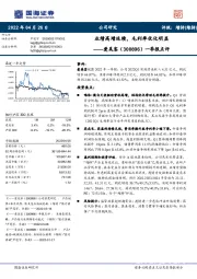 一季报点评：业绩高增延续，毛利率优化明显