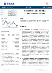 一季报点评：Q1业绩超预期，奠定全年高增基础