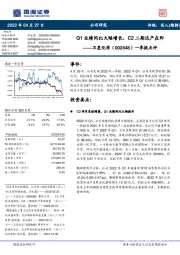 一季报点评:Q1业绩同比大幅增长,C2二期达产在即