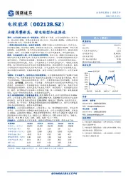 业绩再攀新高，绿电转型加速推进