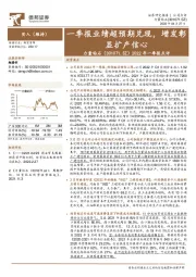 2022年一季报点评：一季报业绩超预期兑现，增发彰显扩产信心