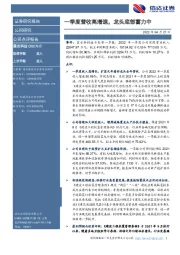 一季度营收高增速,龙头底部蓄力中