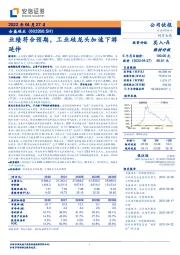 业绩符合预期，工业硅龙头加速下游延伸