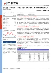 公司信息更新报告:下游去库存压力充分释放,静待疫情缓解需求复苏