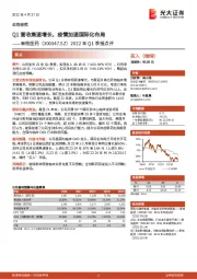 2022年Q1季报点评：Q1营收高速增长，疫情加速国际化布局