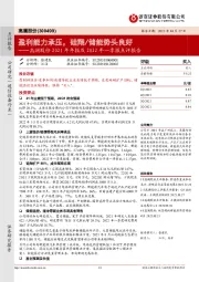 高澜股份2021年年报及2022年一季报点评报告：盈利能力承压，硅翔/储能势头良好