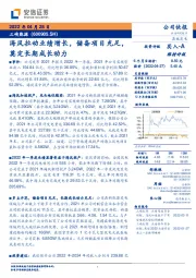 海风拉动业绩增长,储备项目充足,奠定长期成长动力