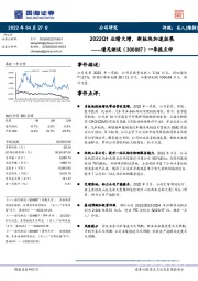 一季报点评：2022Q1业绩大增，新板块加速拓展