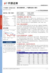 公司信息更新报告：速冻持续增长，产能释放助力增长