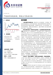 产能盈利双轮驱动，释放公司高成长性