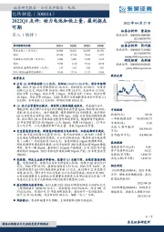 2022Q1点评：动力电池加快上量，盈利拐点可期