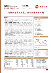 川调业务表现出色,全年业绩增长可期