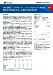 2021年报&2022年一季报点评:锂盐业务实现新突破,资源端布局值得期待