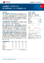 新产能释放顺利，2021年业绩增长287%