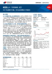 2021年业绩扭亏为盈，多元业态拓展助力中线成长