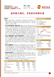 2022年一季报点评：盈利能力稳定，负极需求持续旺盛