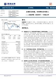 一季报点评：业绩符合预期，利润弹性空间较大