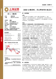 22Q1业绩亮眼，多品牌矩阵加速成长