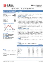 量利齐升，发力新能源市场