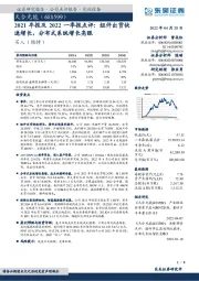 2021年报及2022一季报点评：组件出货快速增长，分布式系统增长亮眼