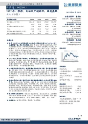 2022年一季报:电动车产销两旺,盈利亮眼