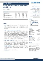 2022Q1点评:销量大幅增长,盈利短期承压,后续修复可期