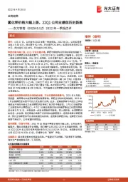 2022年一季报点评：氯化钾价格大幅上涨，22Q1公司业绩创历史新高