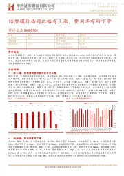 铝塑膜价格同比略有上涨，费用率有所下滑