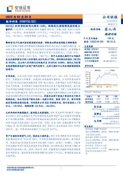 2022Q1归母净利润同比增长146%，结构优化持续增强盈利能力