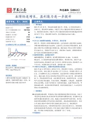 业绩快速增长，盈利能力进一步提升