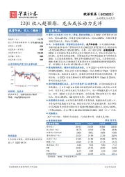 22Q1收入超预期,龙头成长动力充沛
