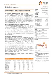 收入维持高增长，渠道升级带动业务快速放量