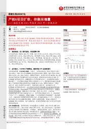 诺泰生物2021年报及2022年一季报点评:产能&项目扩容,待集采增量