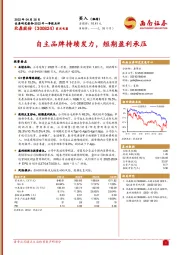 自主品牌持续发力,短期盈利承压