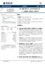 业绩点评:Q1业绩大增51%,在手风光项目充足