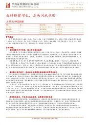 业绩稳健增长，龙头风采依旧