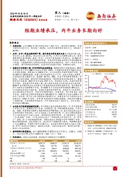 短期业绩承压，肉牛业务长期向好