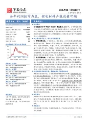 全年利润扭亏为盈,锂电材料产能放量可期