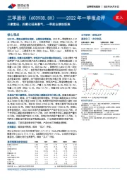 2022年一季报点评：三氯氢硅、四氯化硅高景气，一季度业绩创新高