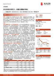 2021年年报及2022年一季报点评:多业务线共同发力,经营业绩稳步增长