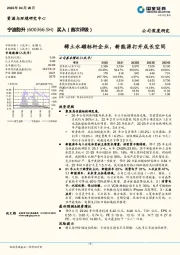 稀土永磁标杆企业，新能源打开成长空间