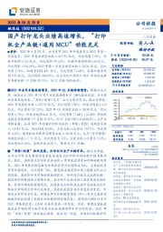 国产打印龙头业绩高速增长，“打印机全产业链+通用MCU”动能充足