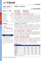 公司信息更新报告:平稳开局,改善可期
