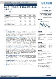 2022年一季报点评：零售渠道高增，盈利能力有所下行