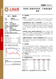 原材料上涨影响净利润，产线建设稳步推进