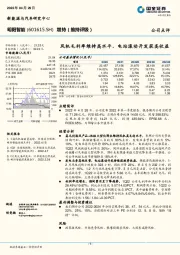 风机毛利率维持高水平，电站滚动开发获高收益